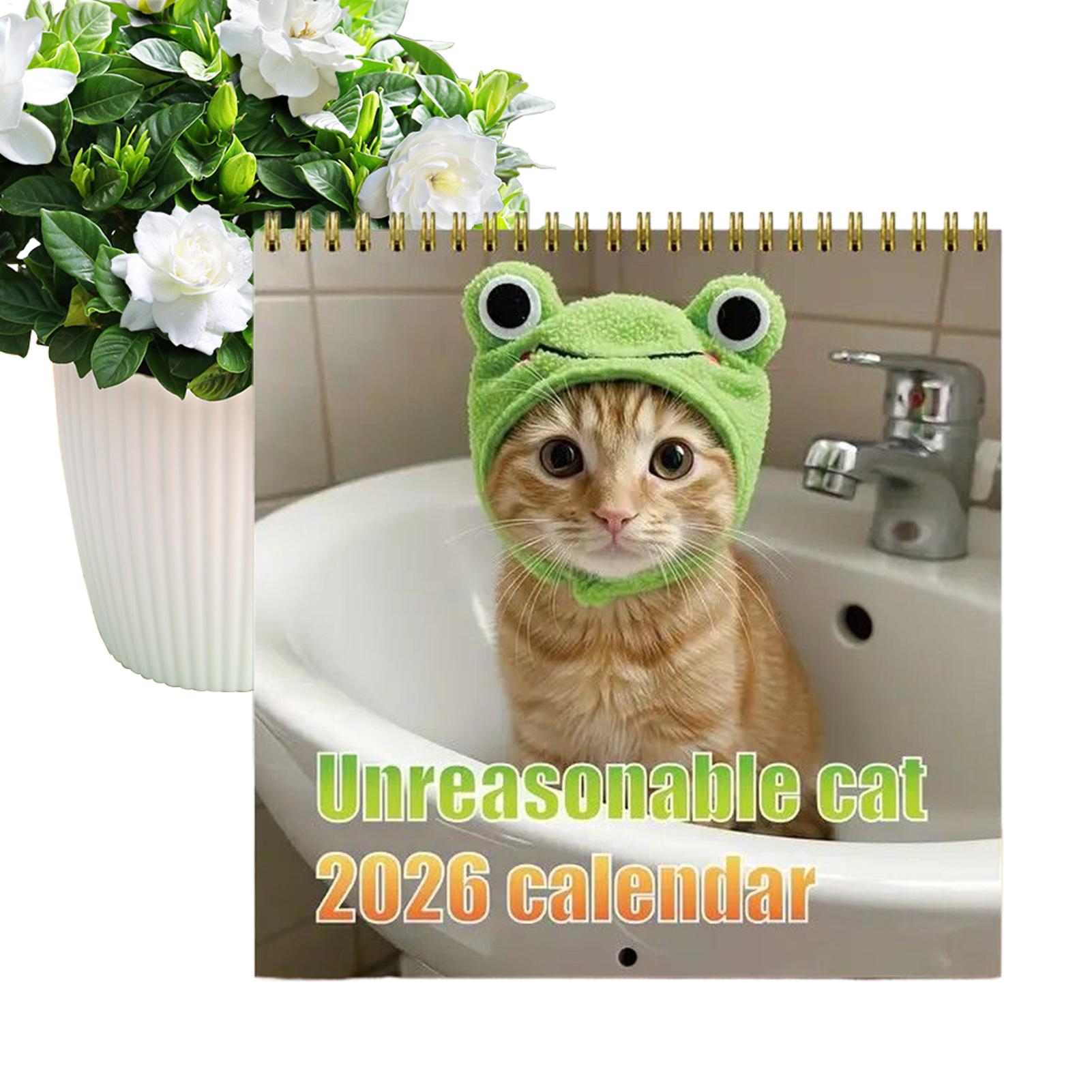 12-Month Calendar 2026 Wall Ca - Home Office Holidays 2026 recension och pris